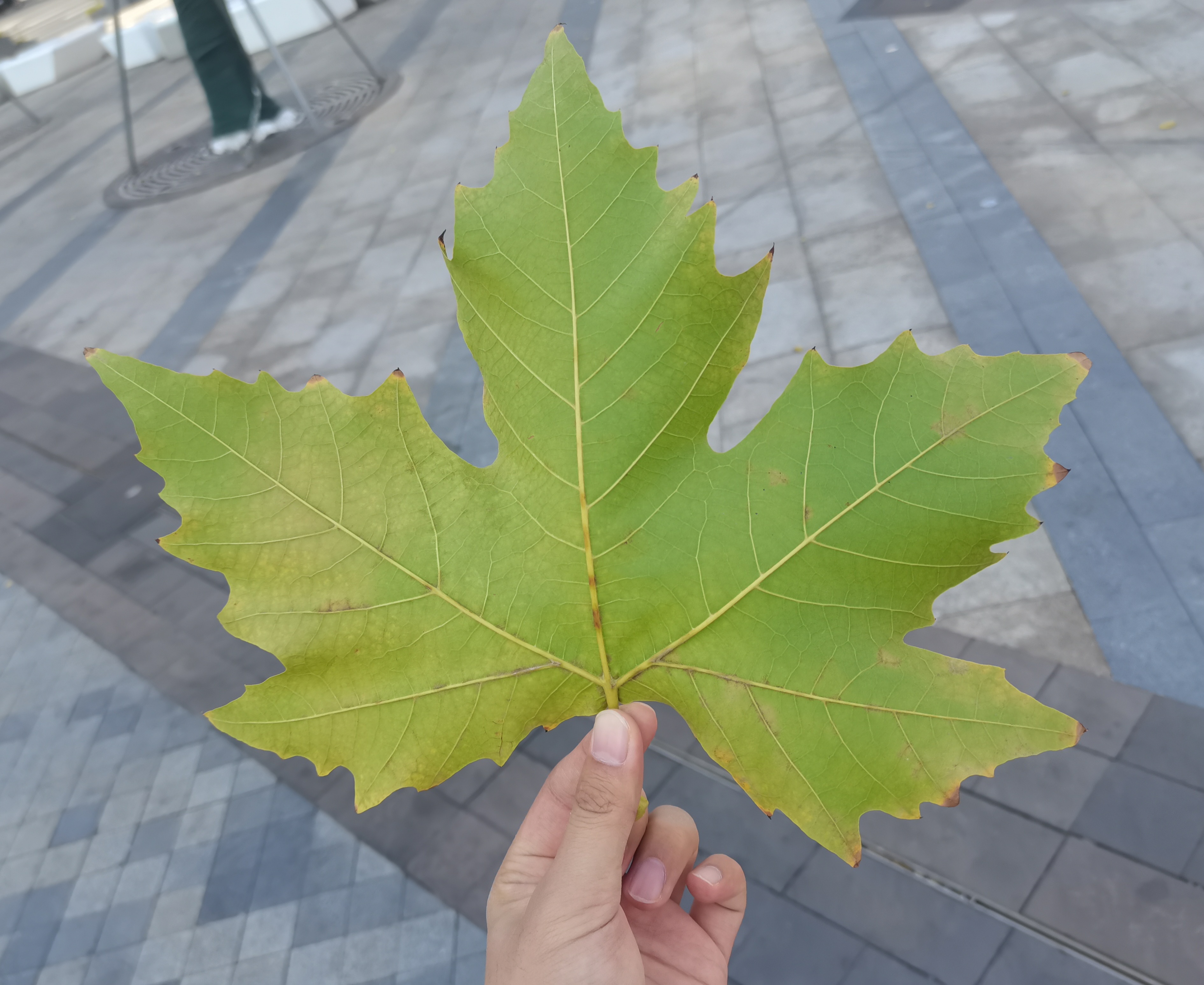 image-20260116220746300